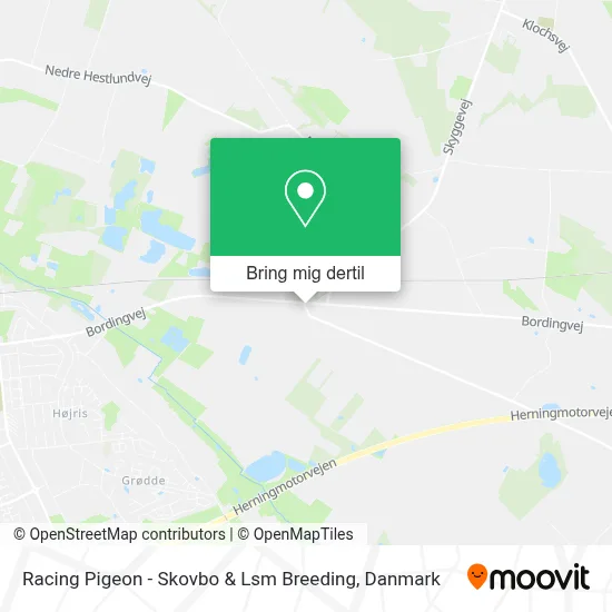 Racing Pigeon - Skovbo & Lsm Breeding kort