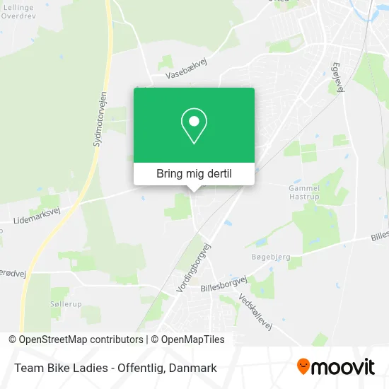 Team Bike Ladies - Offentlig kort