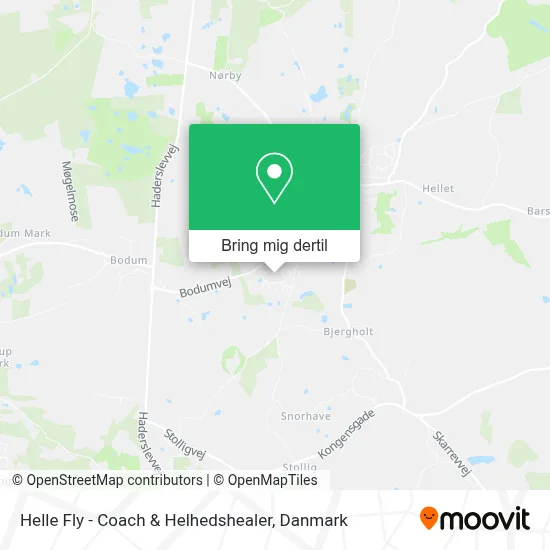 Helle Fly - Coach & Helhedshealer kort