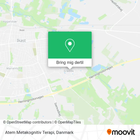 Atem Metakognitiv Terapi kort