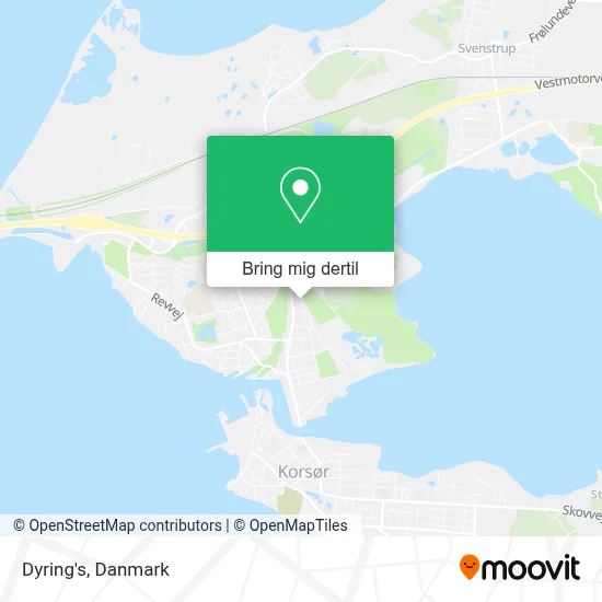 Dyring's kort