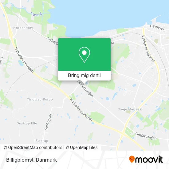 Billigblomst kort
