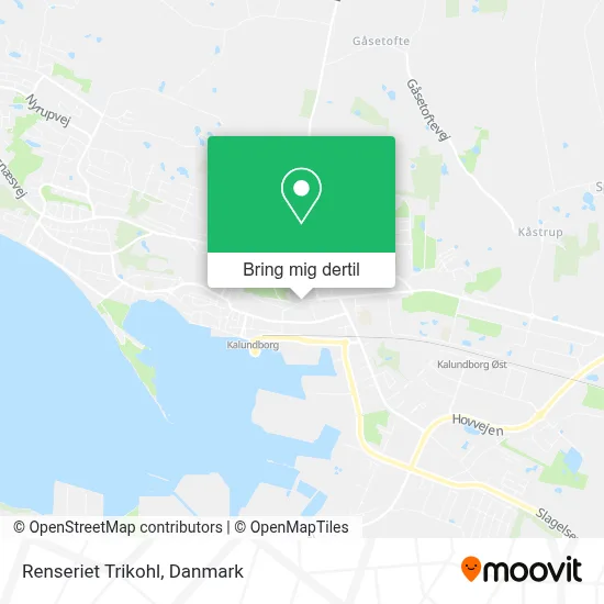 Renseriet Trikohl kort