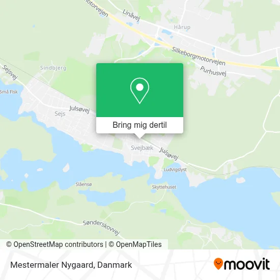 Mestermaler Nygaard kort