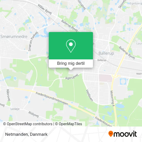 Netmanden kort