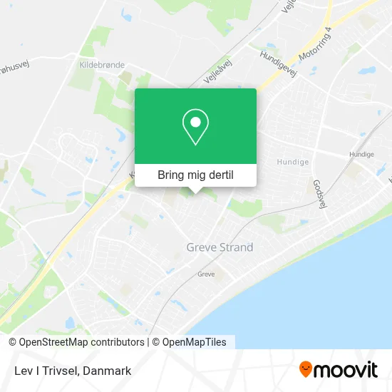 Lev I Trivsel kort
