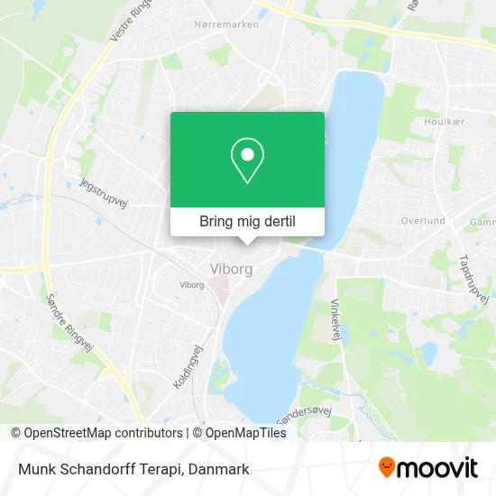Munk Schandorff Terapi kort