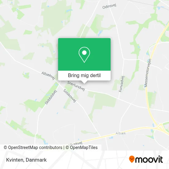Kvinten kort