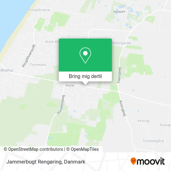 Jammerbugt Rengøring kort