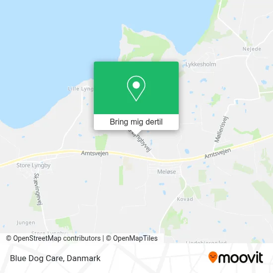Blue Dog Care kort
