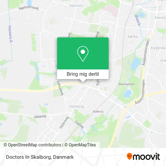 Doctors In Skalborg kort
