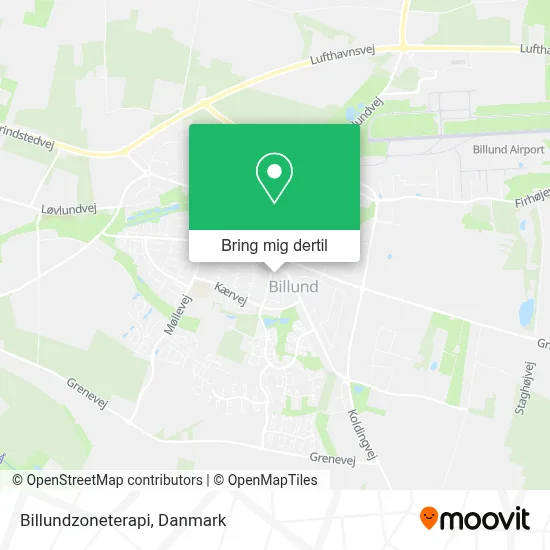 Billundzoneterapi kort