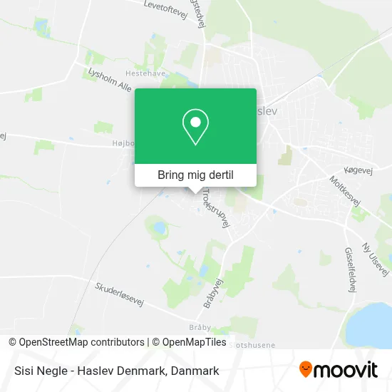 Sisi Negle - Haslev Denmark kort