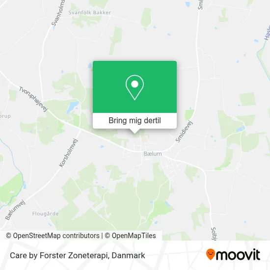 Care by Forster Zoneterapi kort