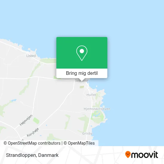Strandloppen kort