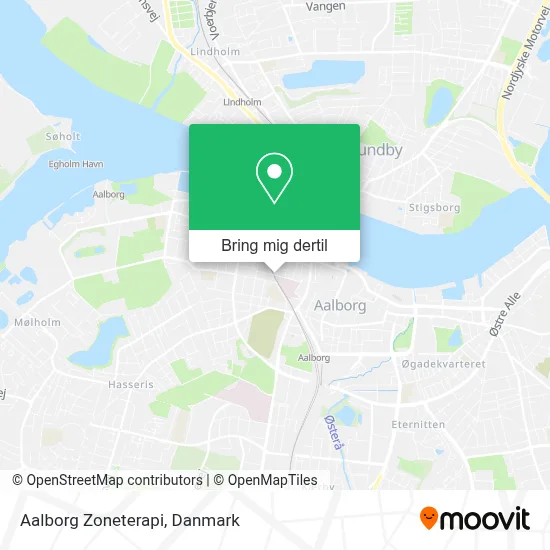 Aalborg Zoneterapi kort