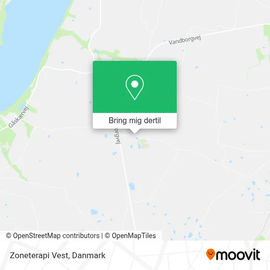 Zoneterapi Vest kort