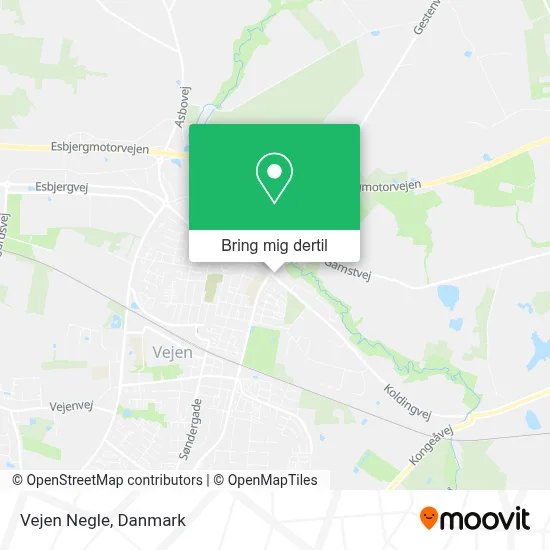 Vejen Negle kort