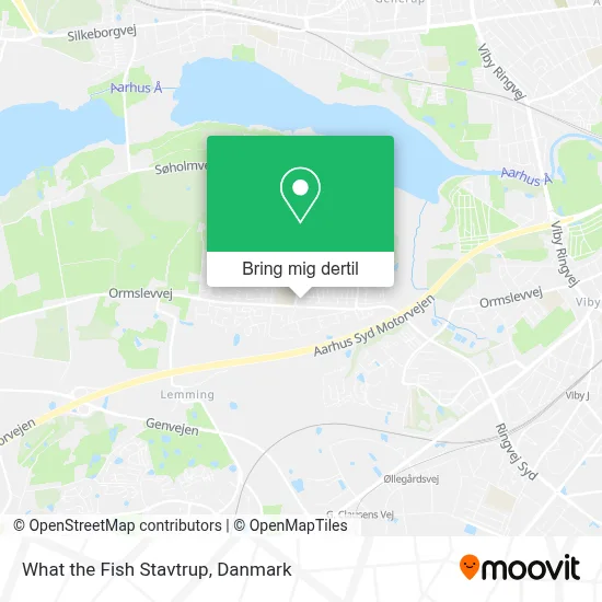 What the Fish Stavtrup kort