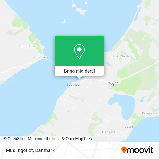 Muslingeriet kort