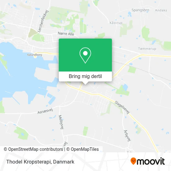 Thodel Kropsterapi kort