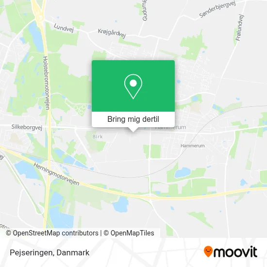 Pejseringen kort
