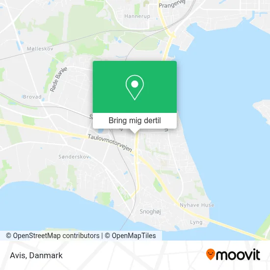 Avis kort