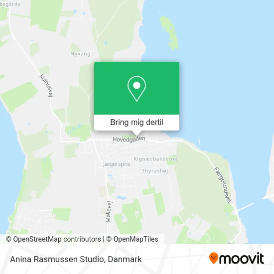 Anina Rasmussen Studio kort