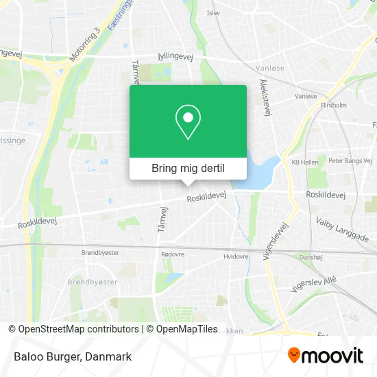 Baloo Burger kort