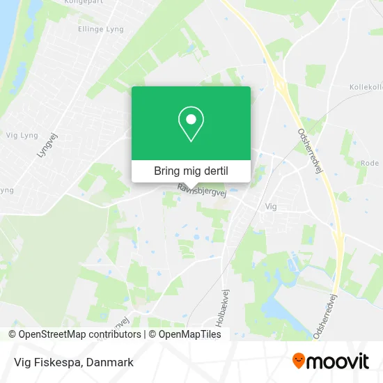 Vig Fiskespa kort