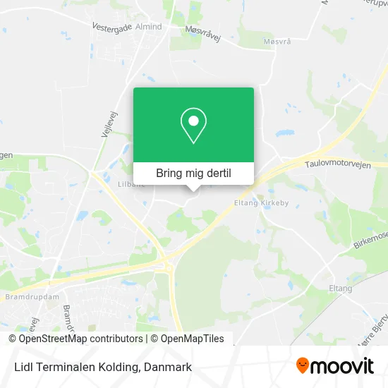 Lidl Terminalen Kolding kort