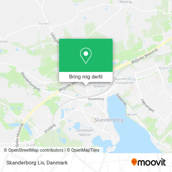 Skanderborg Liv kort