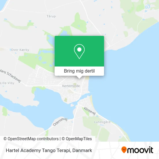 Hartel Academy Tango Terapi kort