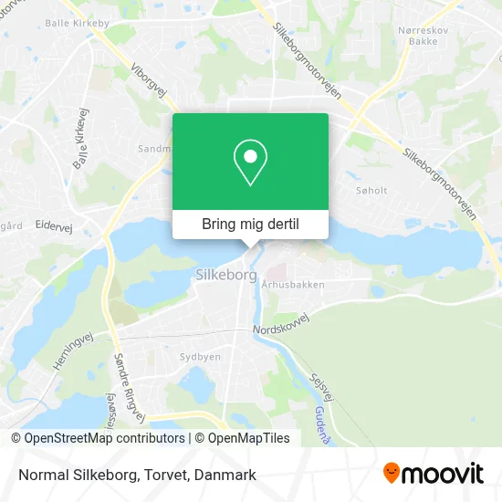Normal Silkeborg, Torvet kort