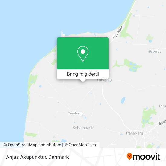 Anjas Akupunktur kort