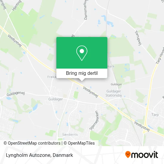 Lyngholm Autozone kort
