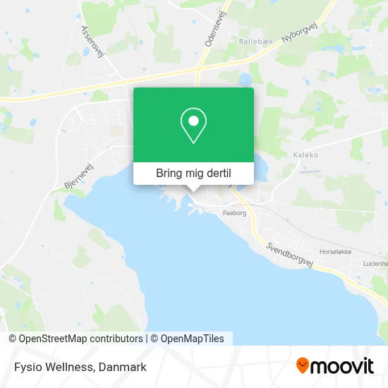 Fysio Wellness kort