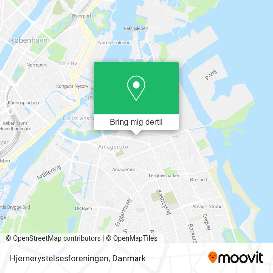 Hjernerystelsesforeningen kort