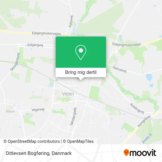 Ditlevsen Bogføring kort