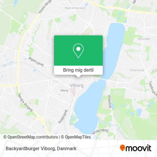 Backyardburger Viborg kort