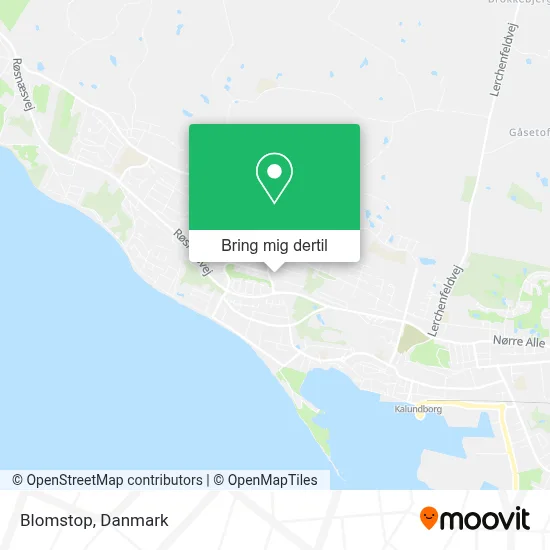 Blomstop kort
