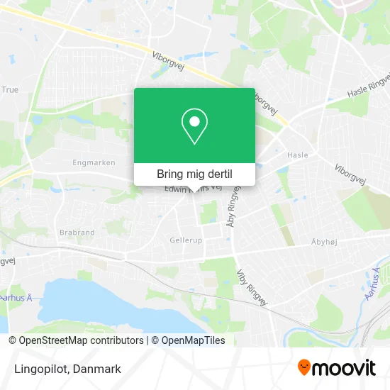 Lingopilot kort
