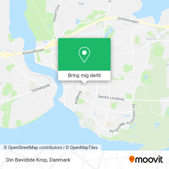 Din Bevidste Krop kort