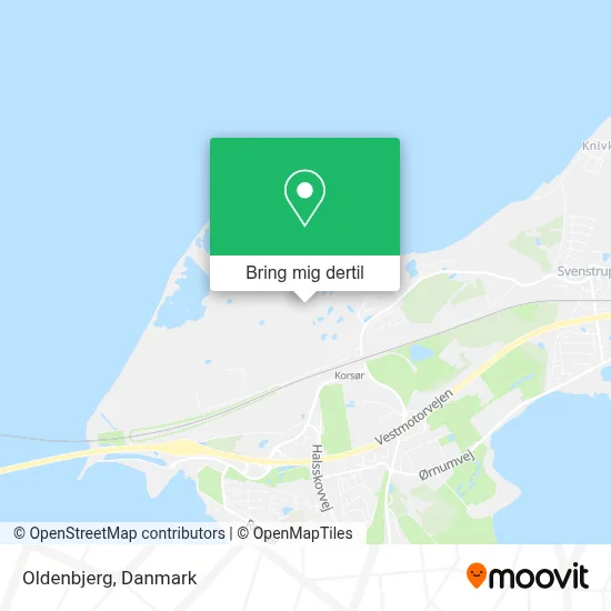Oldenbjerg kort