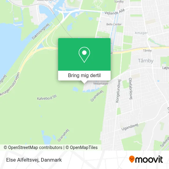Else Alfeltsvej kort