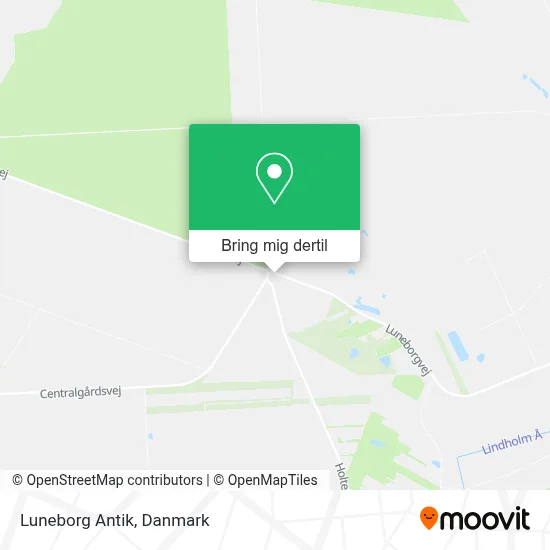 Luneborg Antik kort