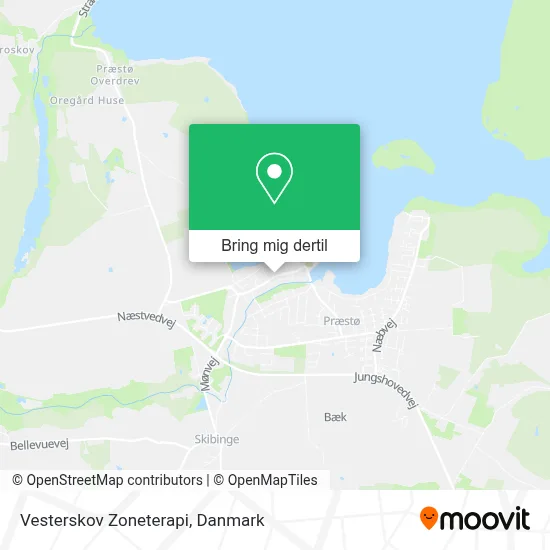 Vesterskov Zoneterapi kort