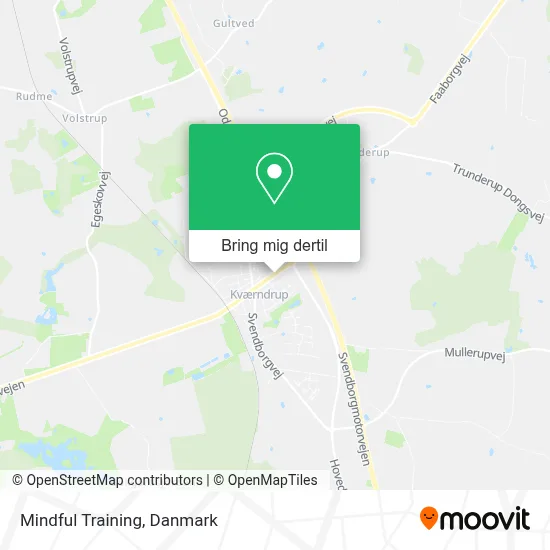 Mindful Training kort