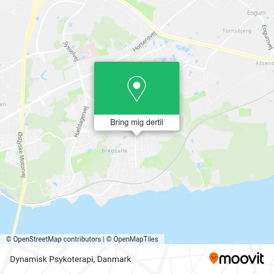 Dynamisk Psykoterapi kort