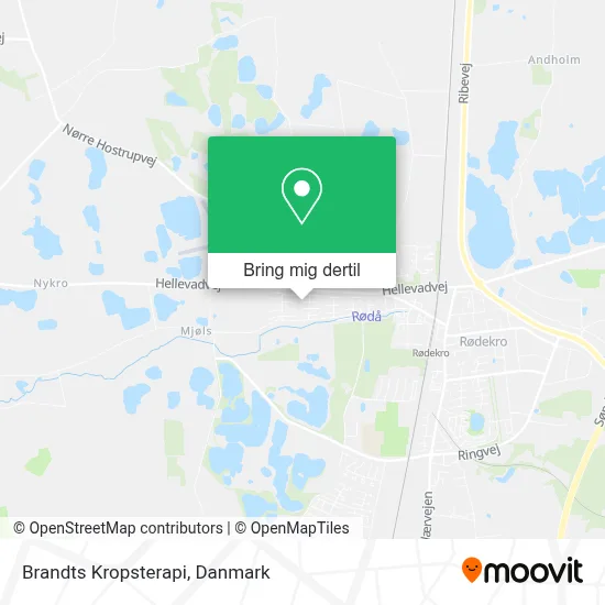 Brandts Kropsterapi kort